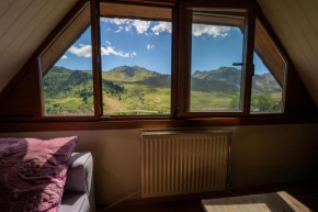 Apartamentos Formigal - admite mascotas